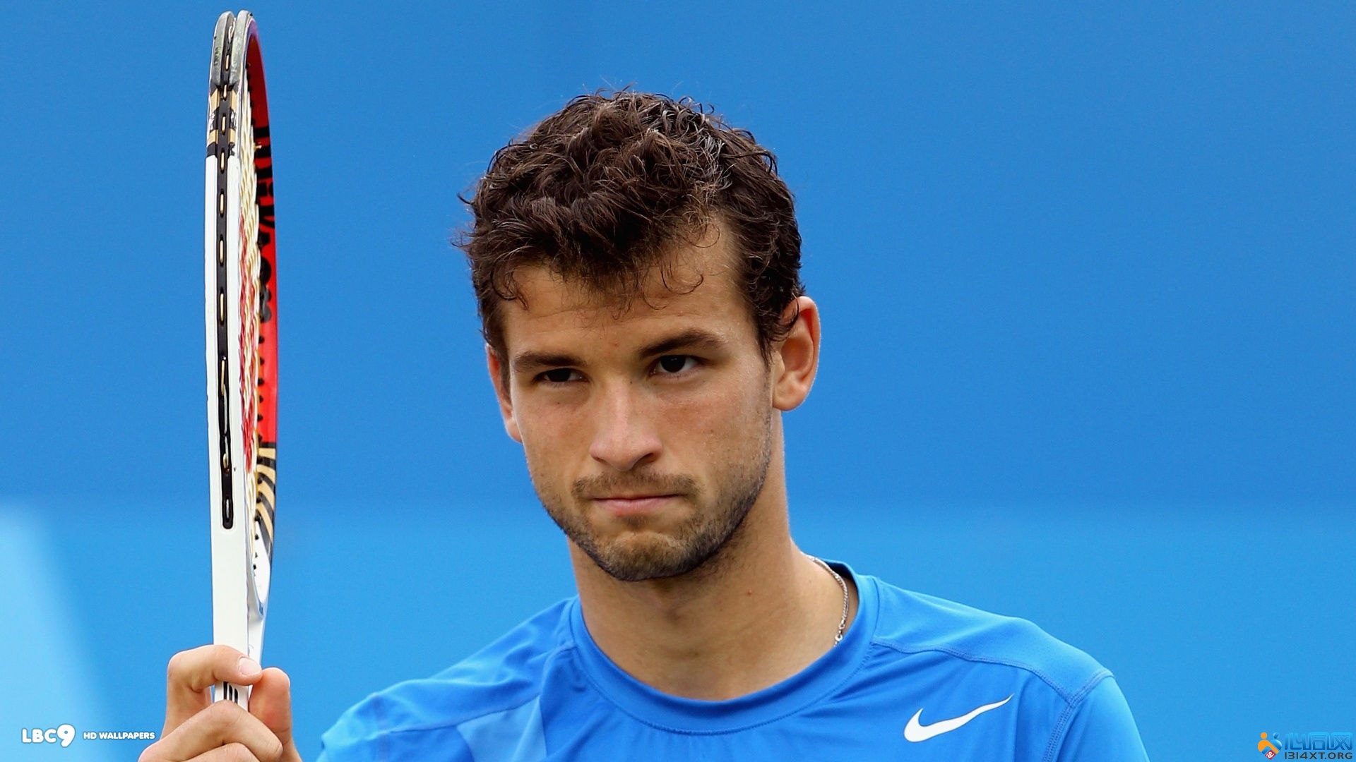 仅是竞技的 仅是竞技的