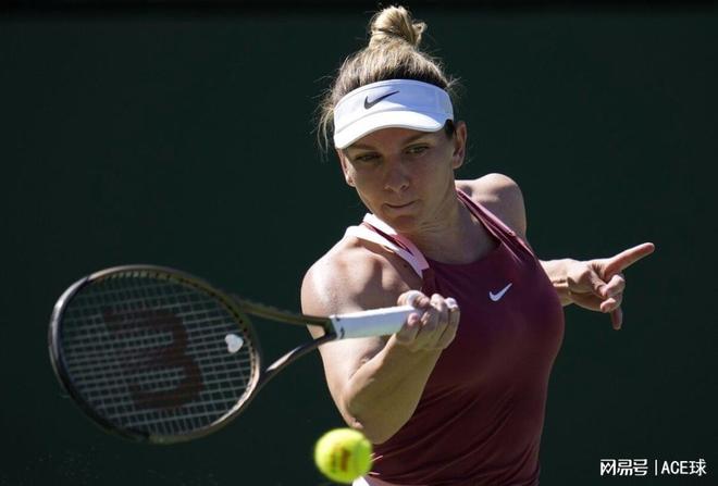 但哈珀完全 但哈珀完全