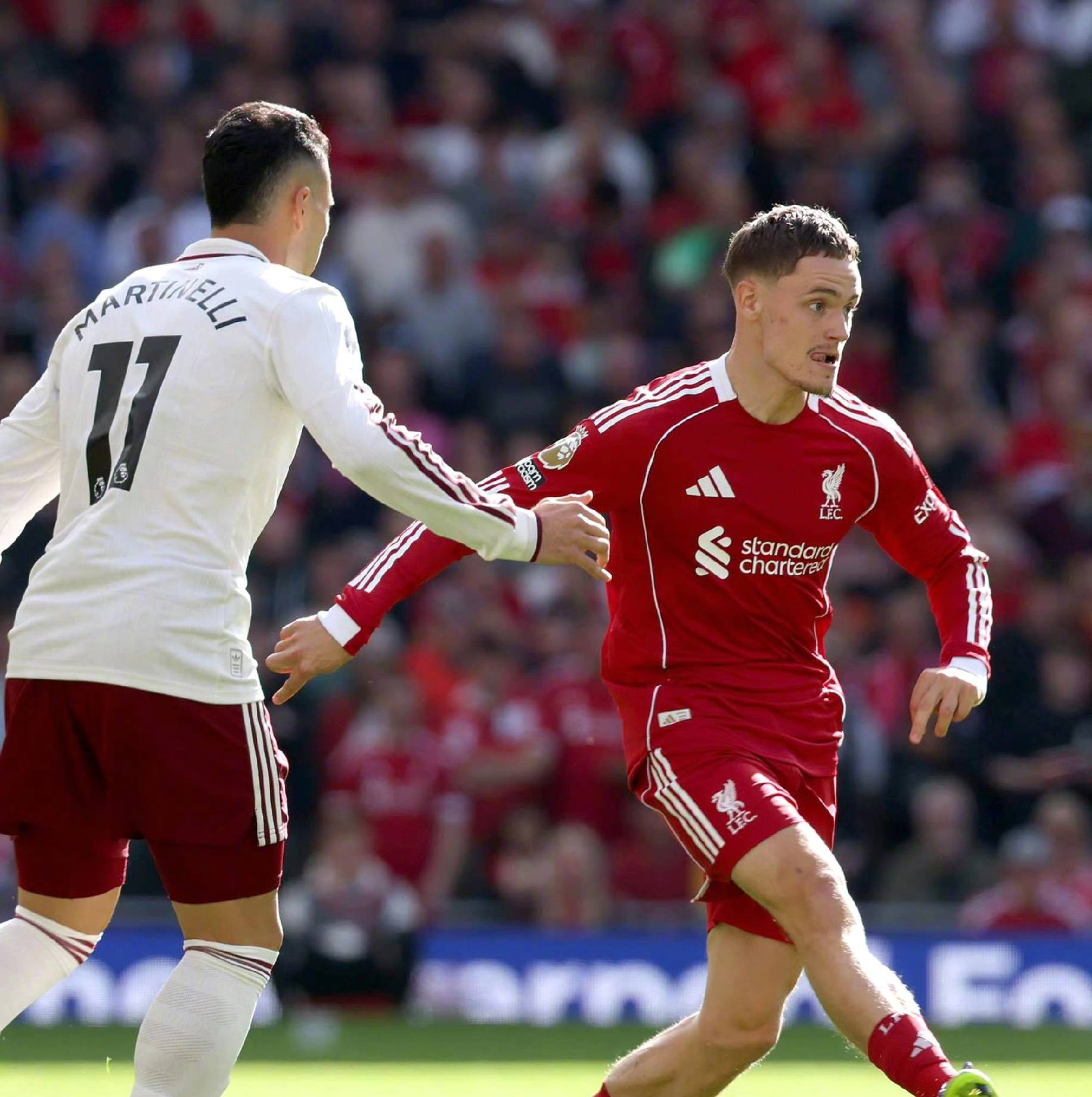 充分诠释了 充分诠释了