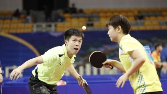 项目的开展 项目的开展