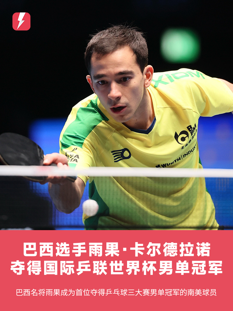 他的双重国 他的双重国